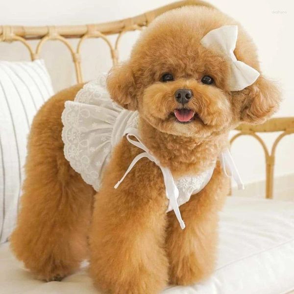 Abbigliamento per cani Abito da sposa Gonna corta Abiti per animali Gatto Chihuahua Yorkshire Terrier Pomerania Barboncino Bichon Cucciolo Costume XS