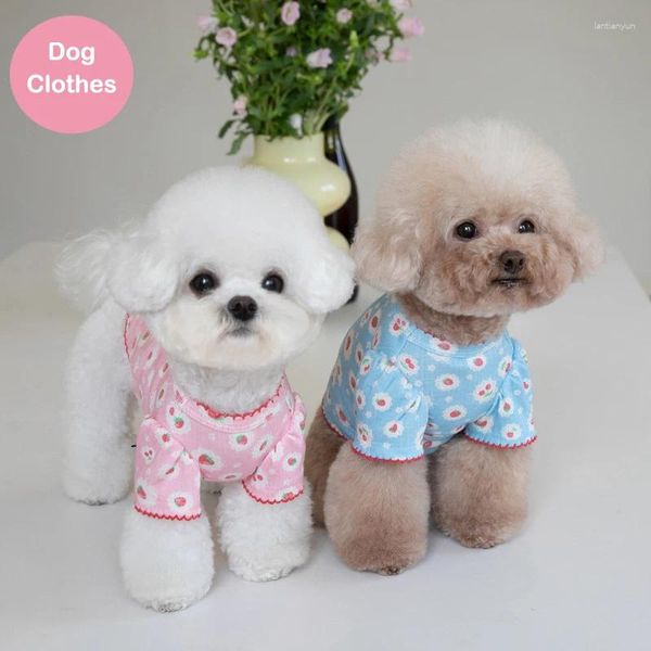 Vestuário para cães pequeno t-shirt roupas de verão roupas para animais de estimação vestuário bonito gato cachorrinho yorkies pomeranian schnauzer casaco