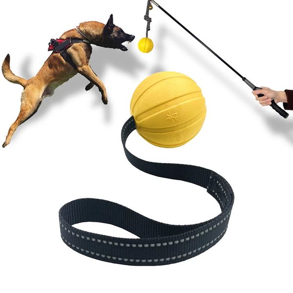 Hundespielzeugbälle an einem Seil für kleine, mittelgroße und große Hunde, Kauer, langlebig, interaktives Balltraining, Schwimmkörper aus EVA-Schaumstoff, 240328