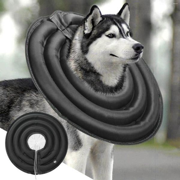 Hundebekleidungshalsbänder für mittelgroße Hunde, Mädchen, schützende Katzen nach weichem Halsband, Rufglocke
