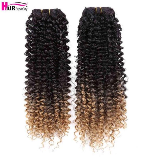 14quotJerry Curly Bundles Синтетические волосы для наращивания с омбре для женщин, термостойкие, 2 шт. в упаковке, Expo City 2206102739363