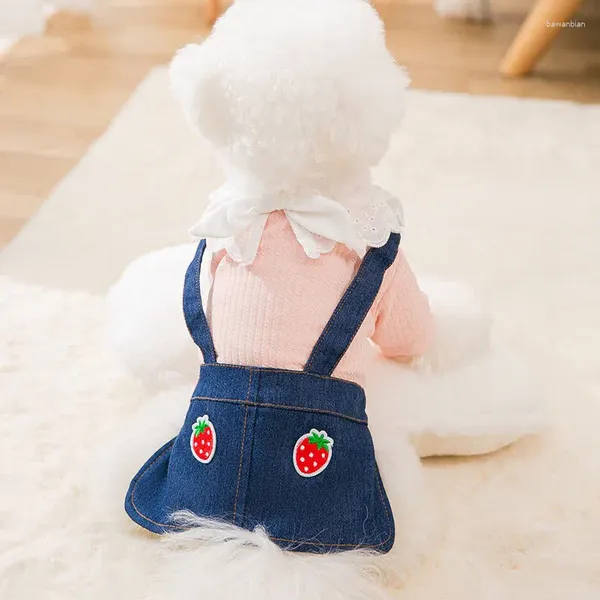 Abbigliamento per cani Gonna di jeans Abiti con cinturino per animali domestici per cani di piccola taglia Fiocchi floreali fragola Gatto Costume caldo Abbigliamento Chihuahua Cucciolo Carlino