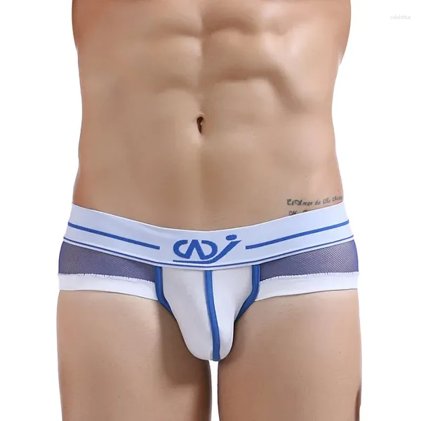 Mutande Gay Slip Rete a rete Trasparente Cotone Bugle Pouch Mutandine Sexy Calzoncillos Hombre Homewear Uomo Intimo Bikini Tanga XL