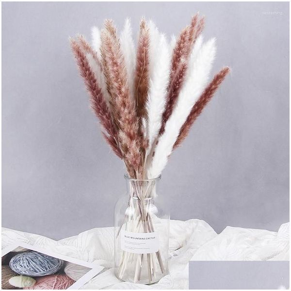 Flores decorativas grinaldas 15 pcs decoração seca natural boho real pampas grama plantas artificiais mariage decoração de quarto casa natal d dhz9w