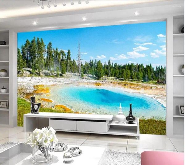 Sfondi Carta da parati 3D Murale Decor Po Sfondo Blu Primavera Piscina Nord America Paesaggio Scena reale Sfondo Pittura murale