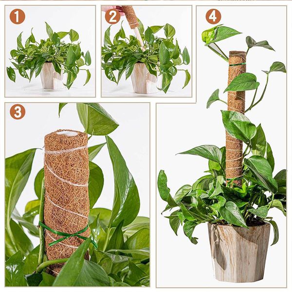 Garden Coir Totem Coconut Palm Sticks Mus Moss Pole Must Stick Support Plant per le piante da arrampicata Support Extension