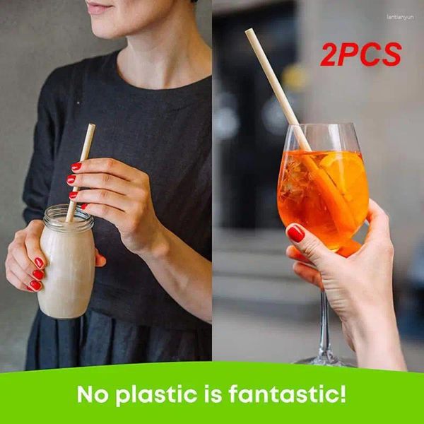 Trinkhalme 2PCS Set Natürliche Bambus Wiederverwendbare Umweltfreundliche Party Bar Küche Sauber Pinsel Für Drop Großhandel