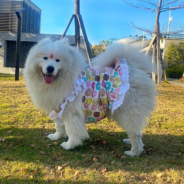 Vestuário para cães verão vestido para animais de estimação filhote de cachorro pequeno traje grande roupas poodle samoyed husky labrador golden retriever roupas 6xl