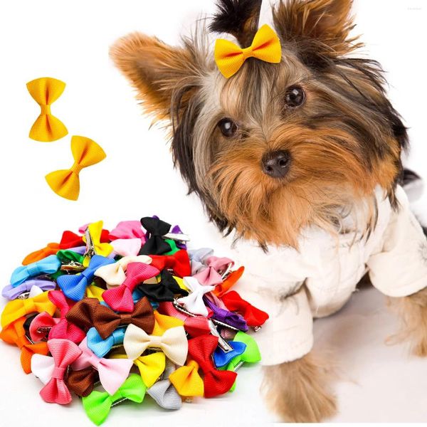 Abbigliamento per cani 30PCS Fiocco colorato Forcina Moda Fermagli per capelli puri per cani di piccola taglia Simpatico cucciolo di gatto Copricapo Accessori per toelettatura