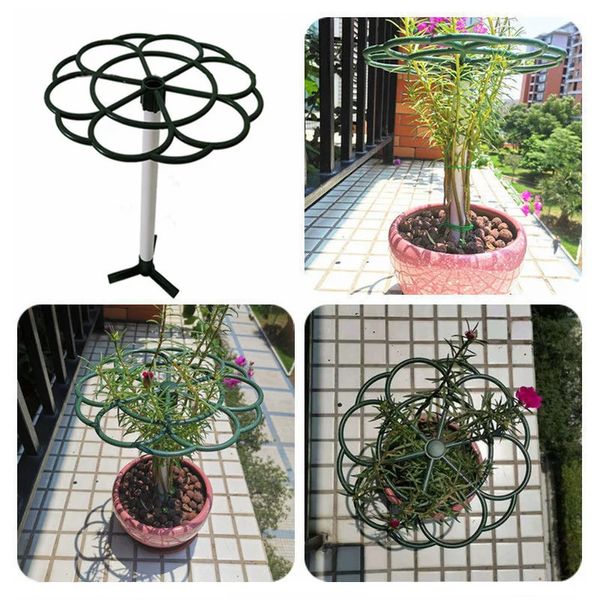 1 pçs jardim planta suporte gaiola plie flor suporte de plástico casa verde pomar haste casa bonsai ferramenta jardinagem suprimentos 240326