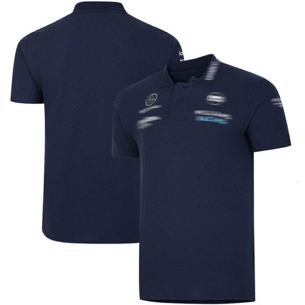 YENİ F1 T-Shirt Formül 1 Yarış Kısa Kollu Resmi Marka Erkekler Nefes Alabilir Polo Gömlek Forması Özelleştirilmiş F1 Otomobil Hayranları T-Shirts Team Giyim