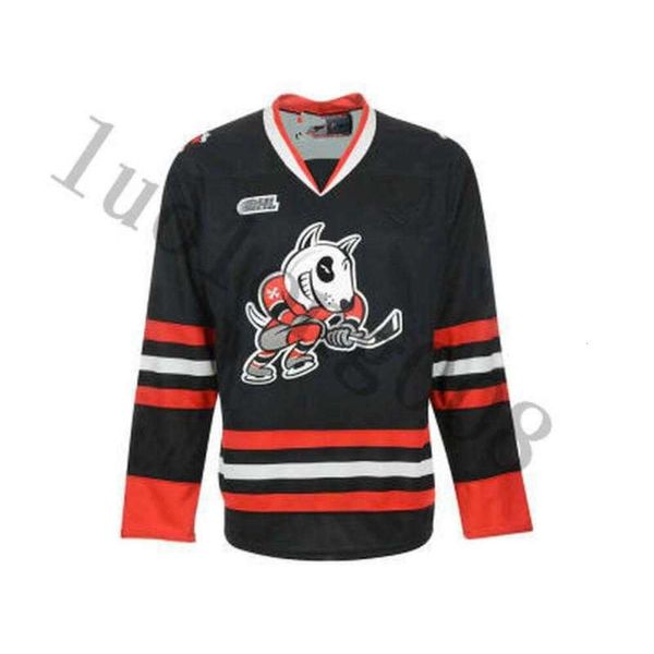24S 2019# Niagara IceDogs University college Hockey Jersey Ricamo cucito Personalizza qualsiasi numero e nome maglie