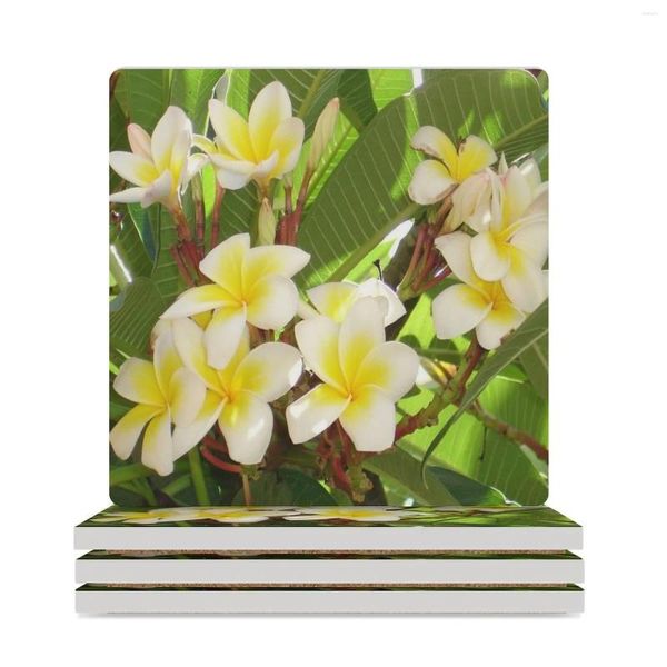 Sottopiatti Fiori di frangipani bianchi e gialli con foglie sullo sfondo Sottobicchieri in ceramica (quadrati) Black Eat