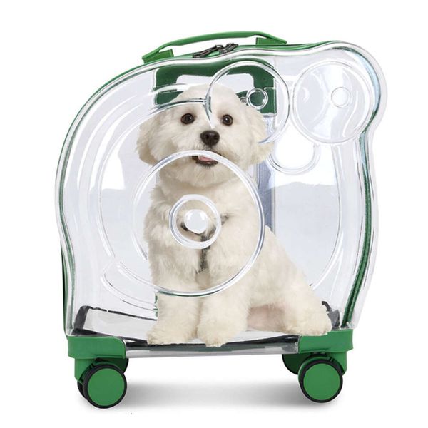 Nuovo trolley per animali domestici Borsa portatile per cani in uscita Modulo spaziale Bagagli per gatti trasparenti di grande capacità