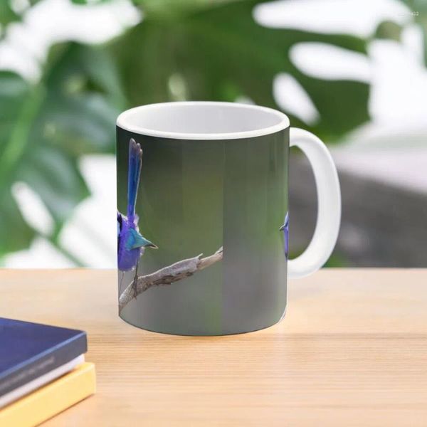 Canecas Bruce The Blue Wren na luz da tarde Caneca de café Copo de vidro de viagem