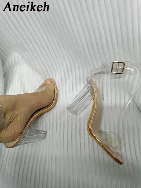 Sandálias Aneikeh Champagne Jelly Sapatos Festa de Verão Casamento Mulheres Design Perspext Salto Alto Square Toe PVC Transparente