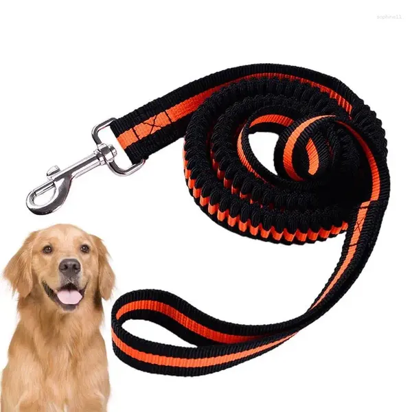 Collari per cani Guinzaglio per cani di grossa taglia Corda in nylon resistente Cintura di sicurezza lunga per auto Comoda impugnatura imbottita