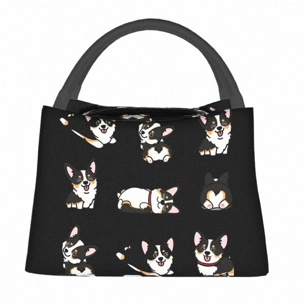 Kawaii Corgi Tri Color contenitori per il pranzo portatili per le donne Dog Cooler termico per alimenti isolato Lunch Bag lavoro d'ufficio Pinic Ctainer I8Ij #