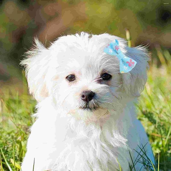 Abbigliamento per cani 10 pezzi Mollette per capelli per animali domestici Accessori per clip Accessori Fiocco colorato Adorabile cucciolo di animale