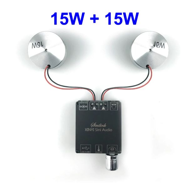 Lautsprecher 2*15W Bluetooth Audio Tragbares Resonanzvibrationslautsprecher Klasse D Stromverstärker Subwoofer DIY 2.0 HiFi -System