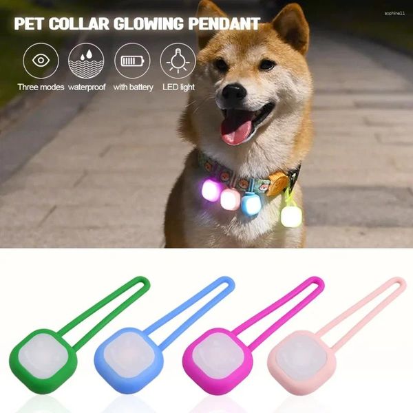 Collari per cani Collare per animali domestici a LED Ciondolo luminoso Sicurezza notturna Collana luminosa anti-smarrimento Luce lampeggiante per addestramento a passeggio all'aperto