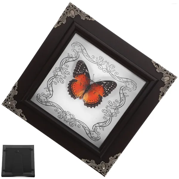 Frames Specimen Po Frame Wooden Picture Display Shelfs Butterfly Specimens Framed Acrylic