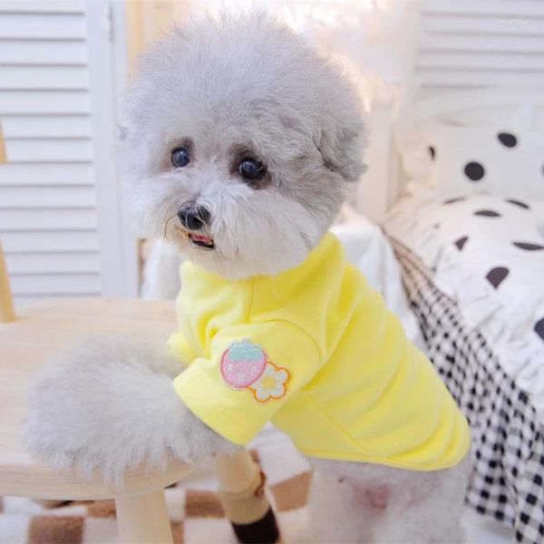 Cão vestuário morango pet colete inverno filhote de cachorro camisola cor sólida teddy de mangas compridas roupas de duas pernas versão coreana de bonito