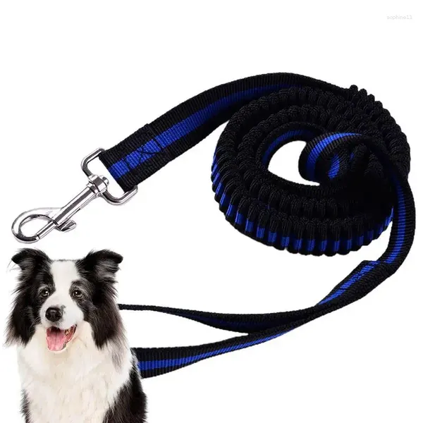 Coleiras de cachorro trela resistente durável corda de náilon confortável alça acolchoada cinto de segurança de alta elasticidade para carro