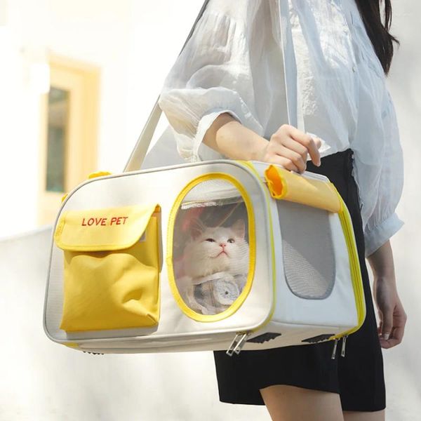 Carriente per gatti Carrieron cani unici zaino femmina con spalla spaziale grande porta trasporto con la ragazza portatile ragazza bolsa femminile accessori per animali domestici