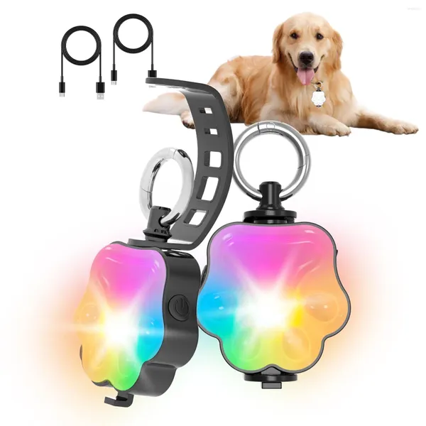 Collari per cani Est Collare per animali domestici Cavo USB leggero Ricarica 4 modalità Sicurezza RGB IP65 Impermeabile per camminare Correre Arrampicata in bicicletta