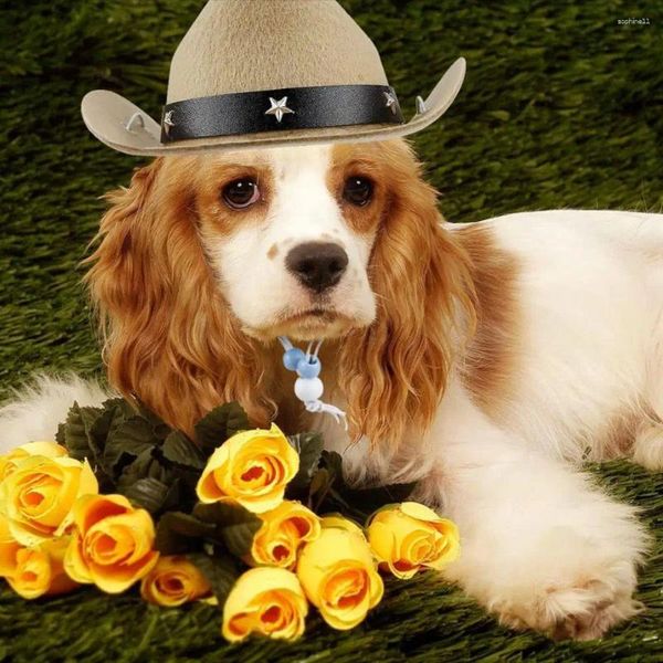 Abbigliamento per cani 1 set Set di sciarpe per cappelli da cowboy per animali domestici Accessori morbidi e confortevoli Elegante costume occidentale traspirante per cani