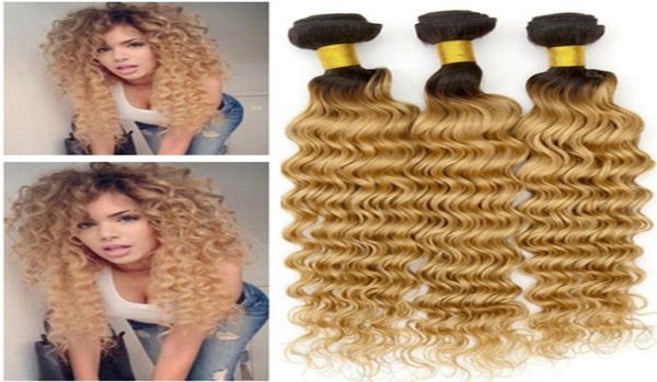 1B27 Honigblondes Ombre Brasilianisches menschliches Haar Webbündel 3pcs Lot tiefe Wellenwellbeer -blonde jungfräuliche menschliche Haarscheuchenexte2232872