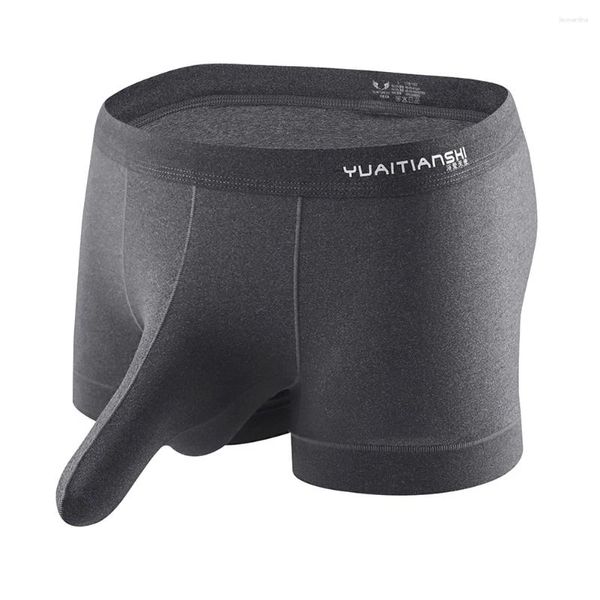 Underpants Männer sexy Mesh Elefant Nasen Beutel Shoks Boxer Slips Unterwäsche Bikini Trunks Shorts Long Bulge Jockstrap Weiche Hombre -Knicker