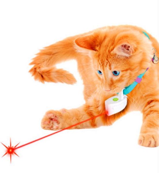 Fashion Mini Kragen Laser Spielzeug hell Haustier Hunde Katzen Laser Pointer Cat Toy Plastik Plastik ABS Laser Fett Katzentraining Spielzeug für Hunde NO COLLAR7601797