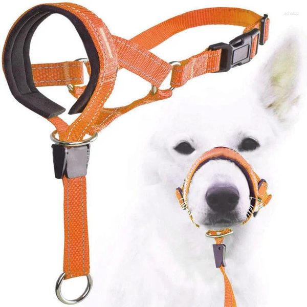 Dog Apparel Creative Halter Halti Treinamento colarinho líder gentil aproveite o nylon breakaway todas as estações úteis chumbo chumbo