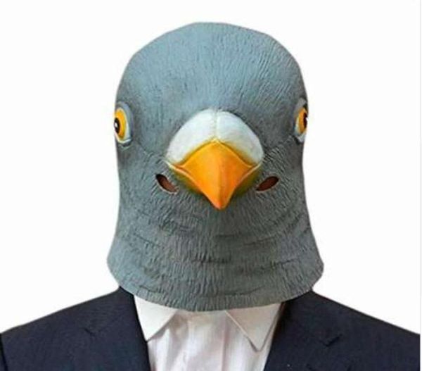 Creepy Pigeon Head Mask 3D Latex Prop animale Costume COSTUME Party Halloween 7869379