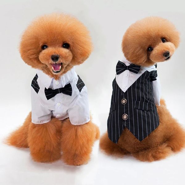 Hund Smokedo Anzug Kostüm Haustier Katz Hochzeits Geburtstagsfeier formelles Hemd mit Fliege für Welpen kleine mittelgroße Hunde Kleidung 240428
