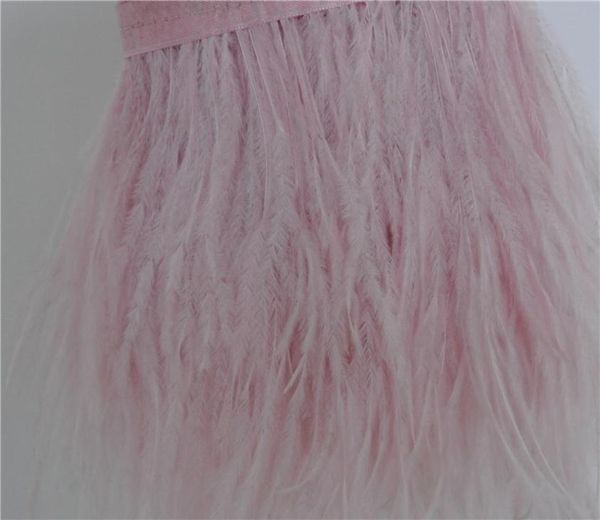 10 iarde rosa luminoso Sttrich Feather Trigio di piume Fringe Fringa su header di raso 56 pollici di larghezza per abbigliamento decorazioni3336493