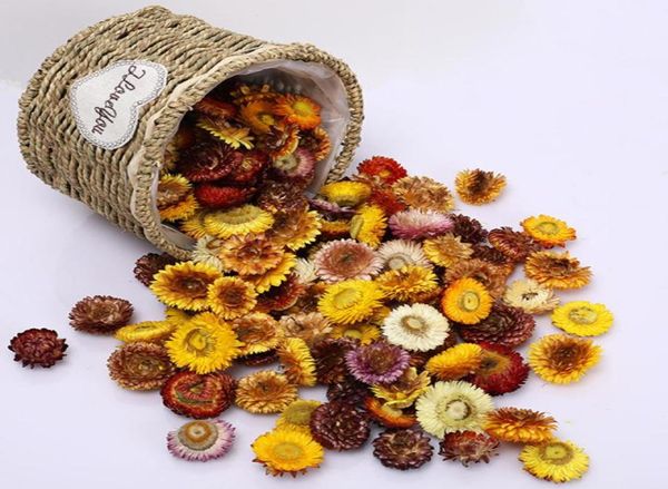 100pcs echtes Gänseblümchen Chrysanthemen erhalten blumgetrocknetes Exemplar DIY Lesezeichen Kerzenkarte A Level Home Decor Natural Gerbera Head 26186800