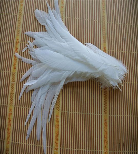 Intero 100pcslot 1214 pollici Pure White Coque Rooster Hackle Tail Feather for Crafts decor1119049