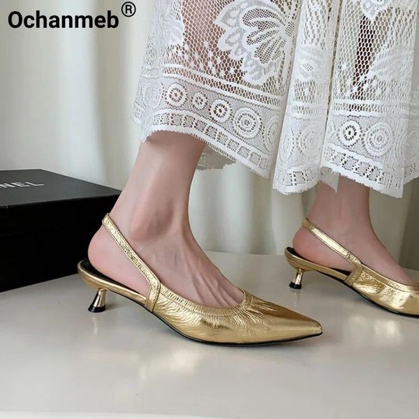 Kleidungsschuhe Ochanmeb Frauen echte Lederkätzchen Heels Silber Plisse Punkt Zehen Gold Slingback Pumps Frau Hochzeitsklasse Party 33-40