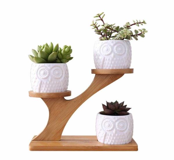 2 Stile Keramik Sukkulente Töpfe Garten Pflanzer für Pflanzen Bonsai Pot Bambuspflanzen Stand Sets Y09101239006