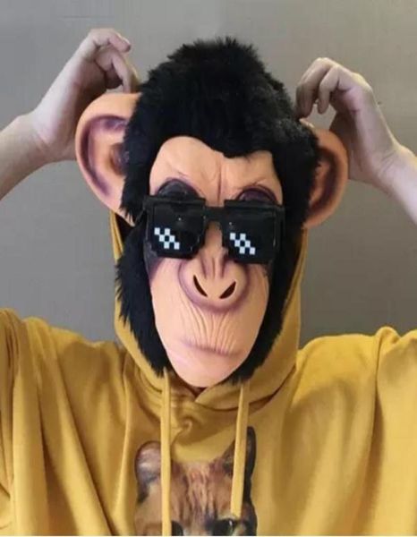 Engraçado Cool Realistic Monkey Head Face Face Mask Adult Máscara Máscara de Halloween Brandável Dresses Funcos Cosplay Props9385271
