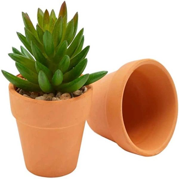 Plantadores Pots 16 PCs 2 Terra Cotta Pots