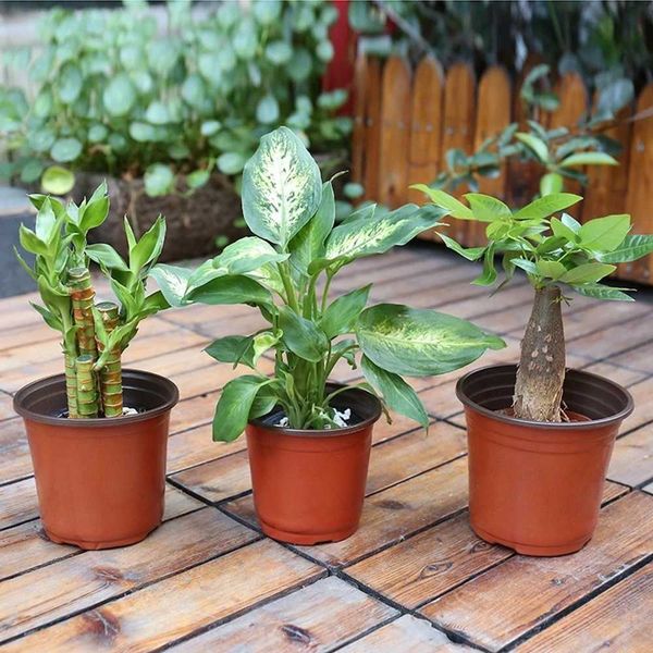 Plantadores pots 10pcs mini panela de flor pequena com orifícios Bandeja resistente à caixa de quedas para o jardim de jardim de jardim de jardim de vasilhas de vegetais transplante de vegetais