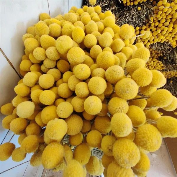 Flores decorativas naturais de botão de botão amarelo seco