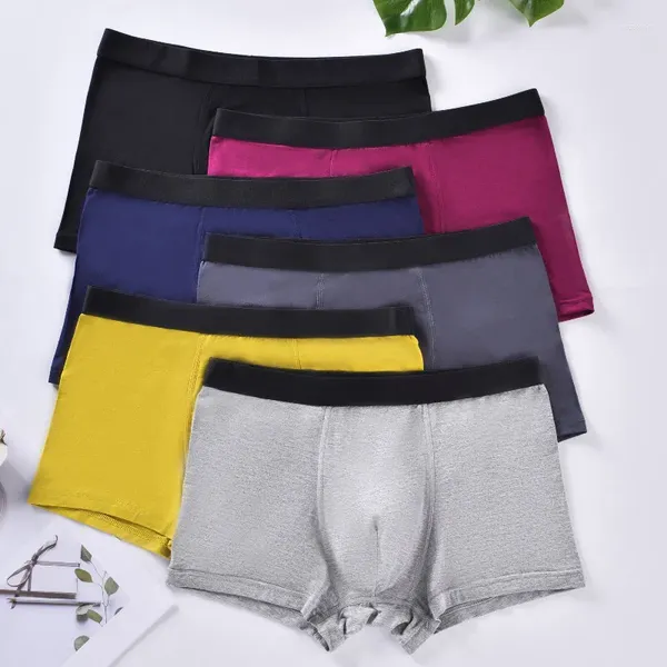 Underpants 6pcs Cotton plus size maschile per maschile per maschile sciolte asifondibili mid-ataliano solidi sexy sexy uomini pugili boxershorts 4xl