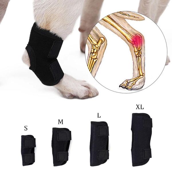 Abbigliamento per cani da ginocchio Lesioni per le ferite per la gamba per protezione delle ferite per la manica del recupero della schiena anteriore per cani