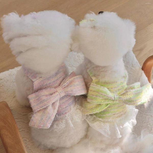 Abbigliamento per cani Cuccioli Spring Cuccioli Lavender Turquoise Bowknot Sump Abito Elegante Pet