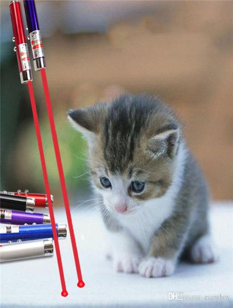 2in1 Red a laser Ponteiro de caneta Anel com luz de luz LED branca Mostra de infravermelho portátil Gatos engraçados Toys de animais de estimação com pacote de varejo7679150